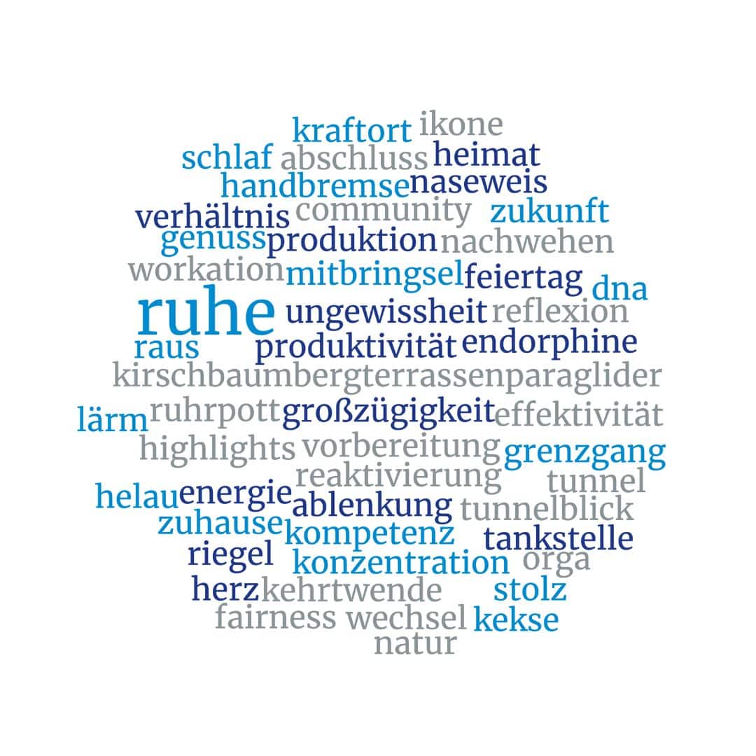 Das Bild zeigt eine Wortwolke aus gut 50 Begriffen (Photocredit: eigene Darstellung).