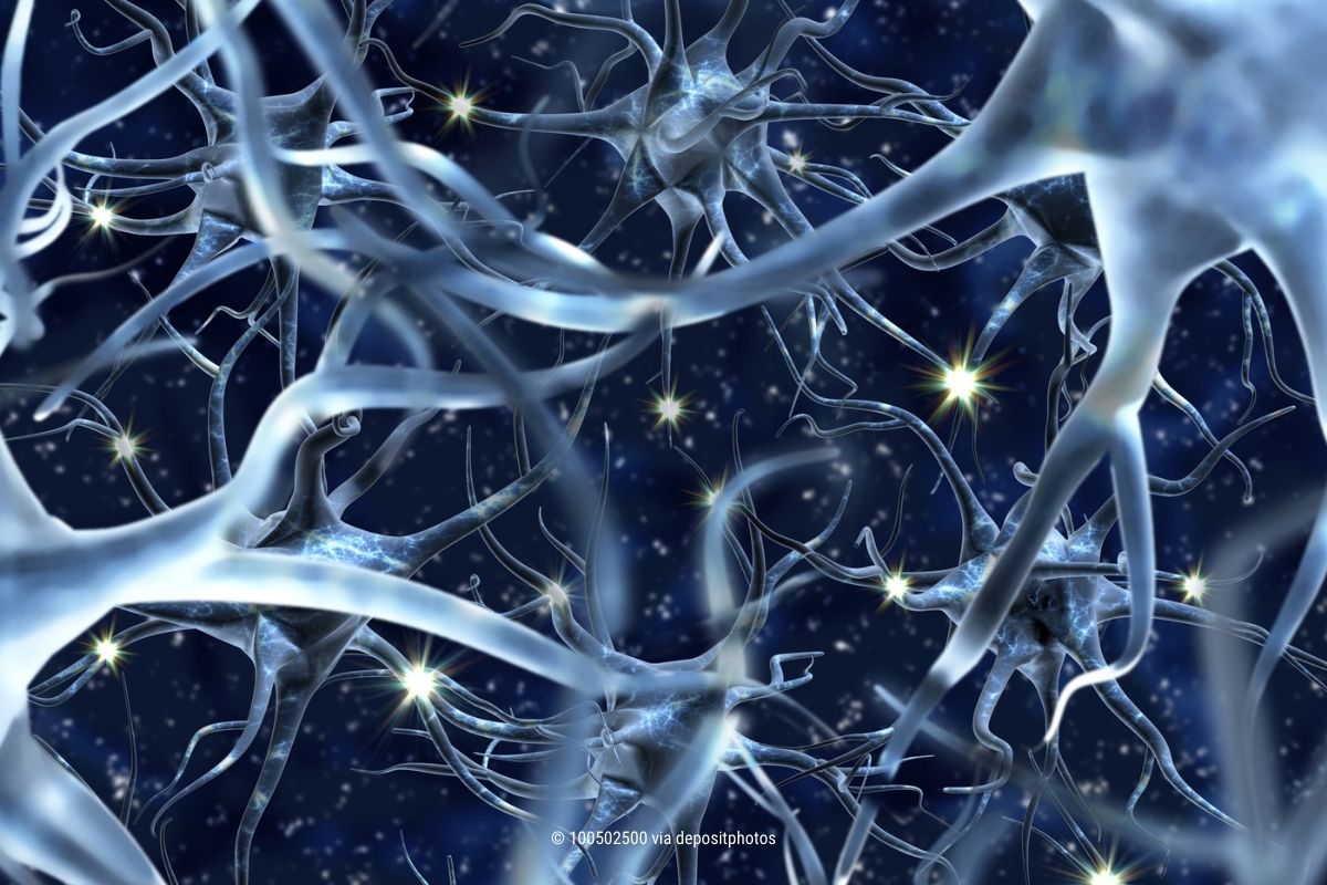 Das Bild zeigt ein neurales Netz im Gehirn – so wie uns ganz automatisch der Social Media Algorithmus steuert (Photocredit: 100502500 via depositphotos)